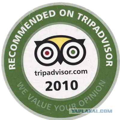 У гроба Папы Иоанна Павла II