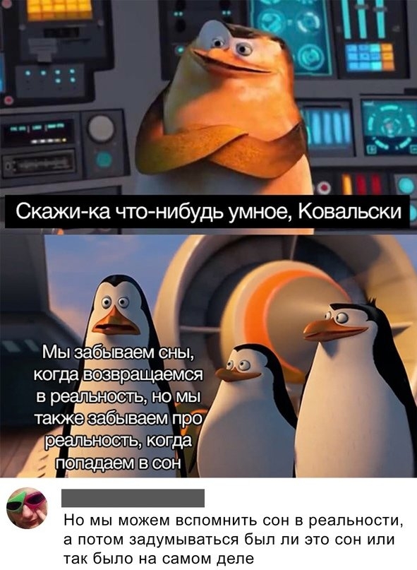 Немного картинок для настроения 07.03.2023