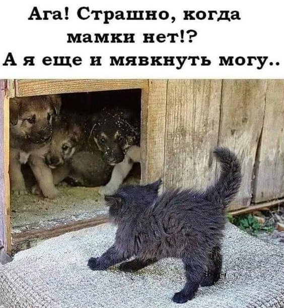 Так себе картинки 18.05.23