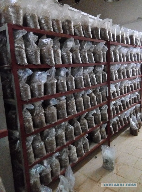 Кулинарная общалка