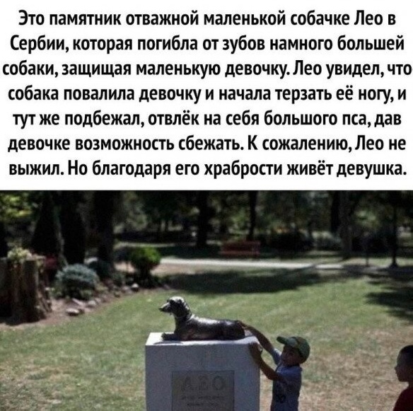 Нуштош 11.09.2023