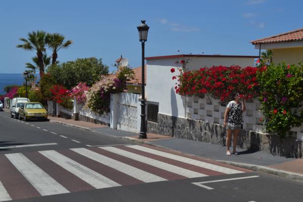 Хочу дачу на канарах!