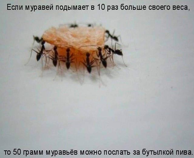 Картинки разные с надписями и без