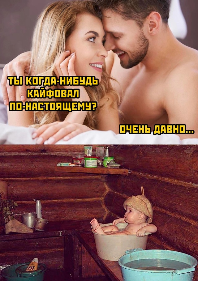 Весёлый полтишок 06.12.24