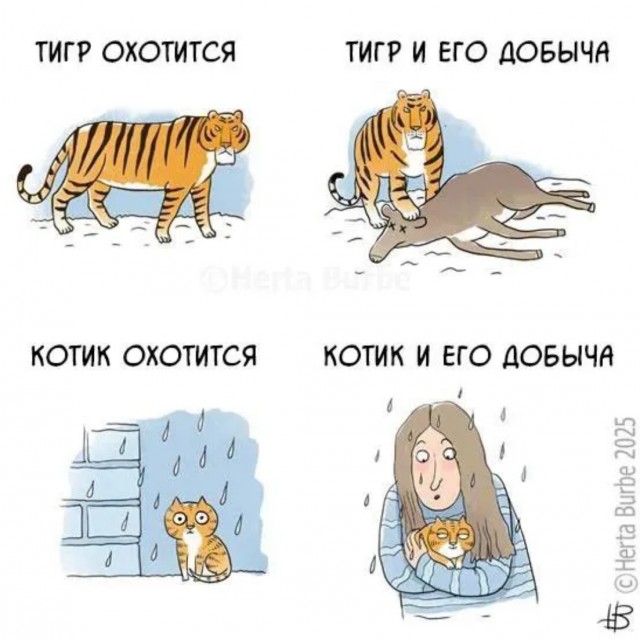 К котовторнику: подборка картинок-баянов с котиками и про котиков. Выпуск 6