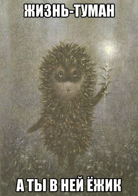 Прикольные и просто красивые картинки 11.04.2025