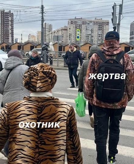 Я выбираю Спорт