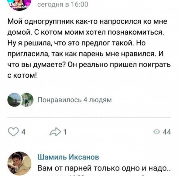 Весёлый полтишок 13.07.25