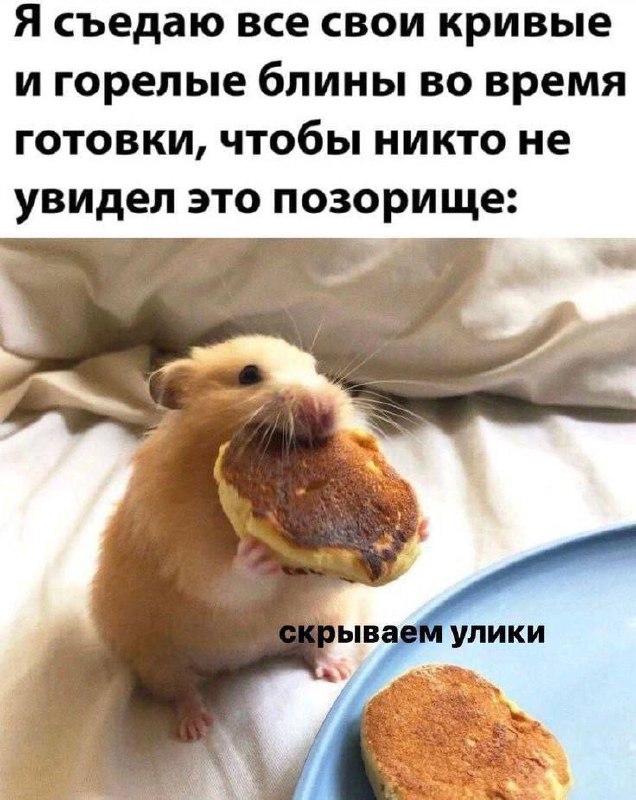 Весёлый полтишок 19.08.25