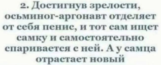 Маленькая пятница 22.10