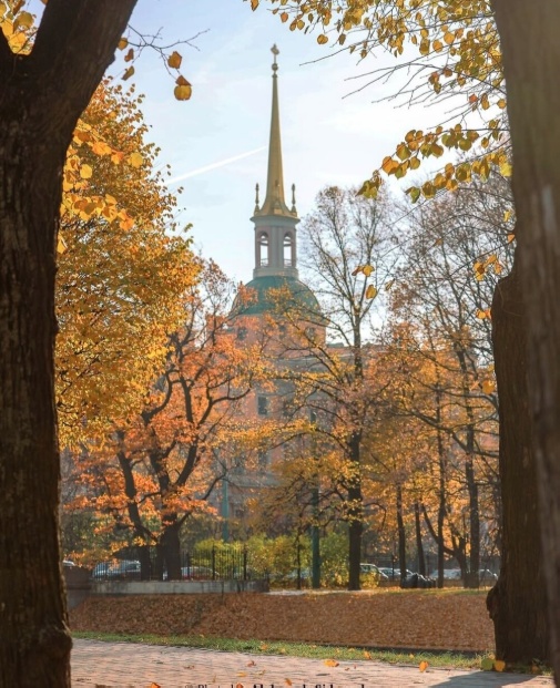 Красивые картинки