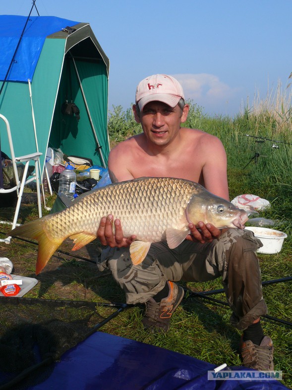 Рыбалка на "платнике".
