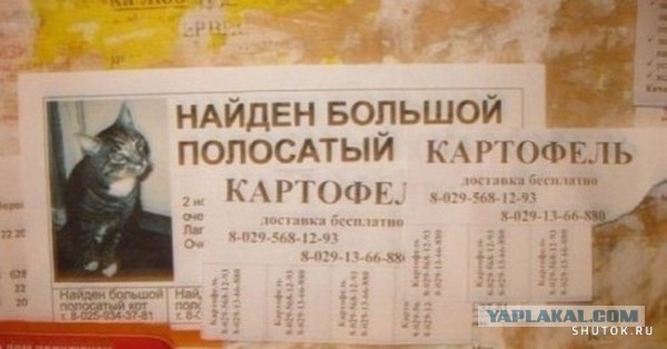 Суровая жисть