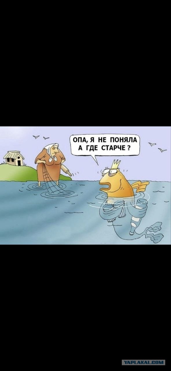 Веселые картинки в маленькую пятницу (25.02)