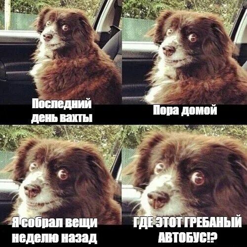 Один день на вахте