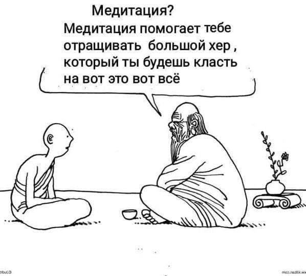 Картинки для деградации 237 (разной степени свежести)