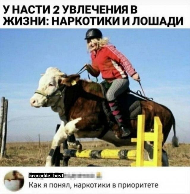 Картинки для деградации 255 (разной степени свежести)