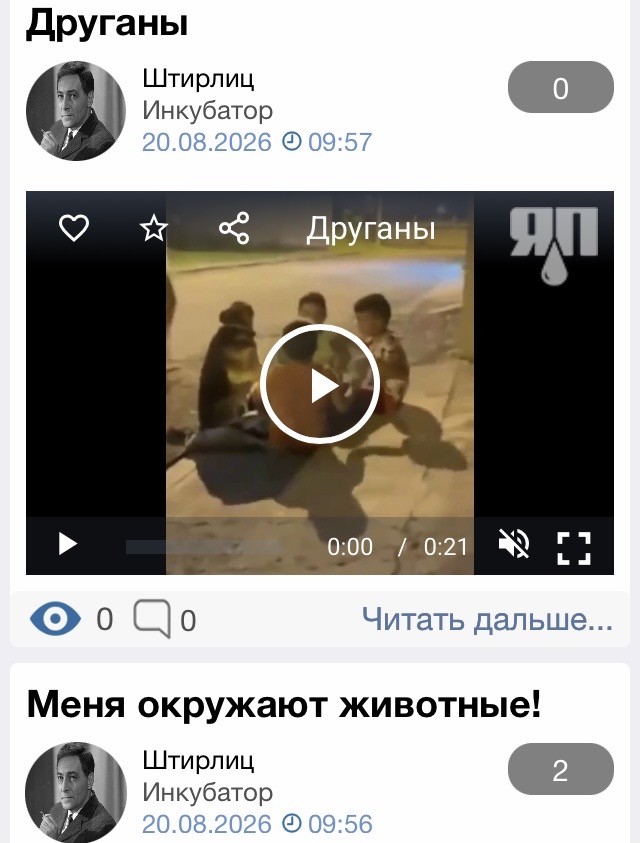 Друганы