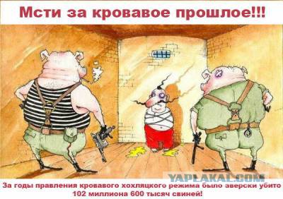 Хохол