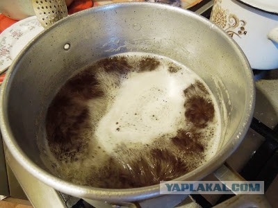 Варенье из сосны