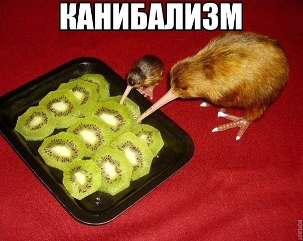 Веселые картинки № х/з