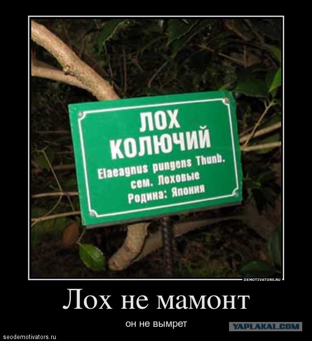 Установили кухню