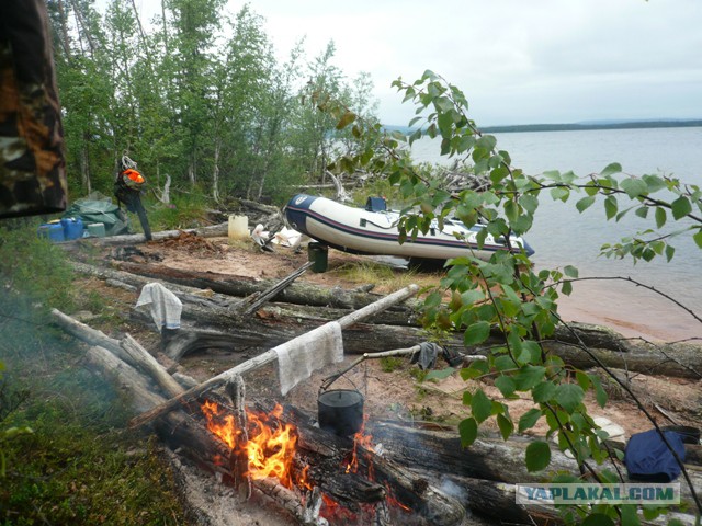 Две недели на Иовском водохранилище. Соколозеро.