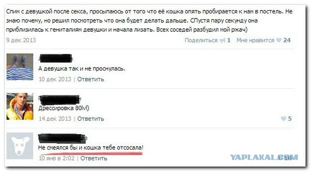 Смешные комментарии из социальных сетей
