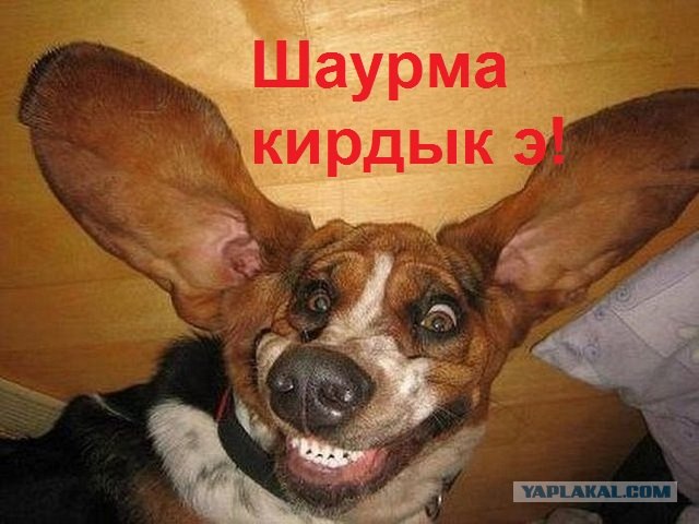 Кто обрадуется больше всего, если запретят шаурму