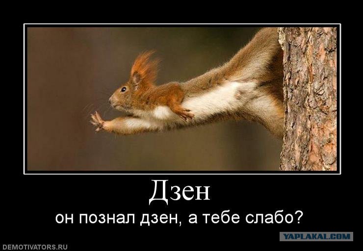 Демотиваторы Дзен