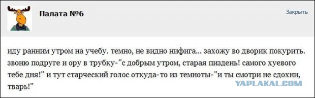 Горячие демотиваторы