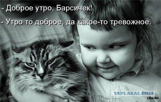 Баю-баюшки-баю