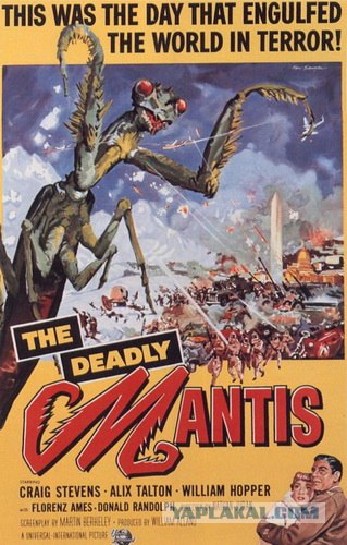 Ночной гость