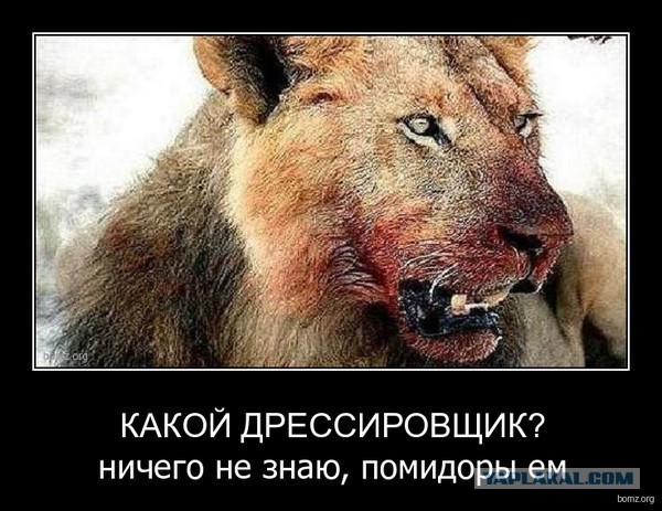 Картинки разные