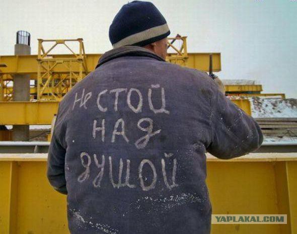 Прикольные картинки из сети