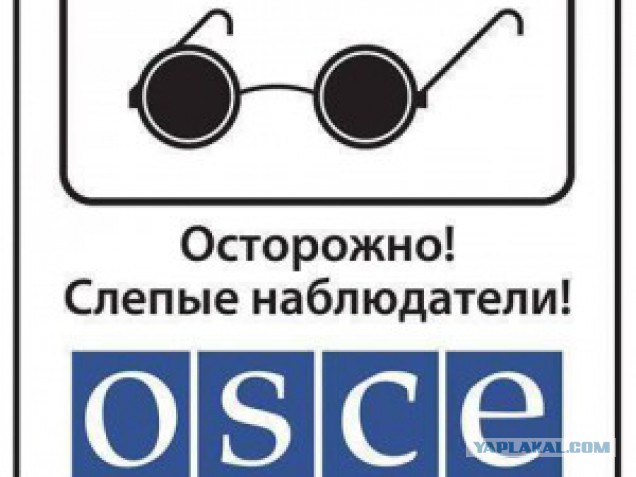 СММ ОБСЕ требует расследования инцидента
