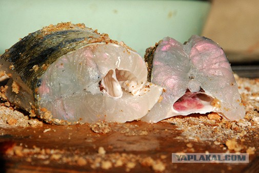Кухня (кулинарное и околокулинарное общение)
