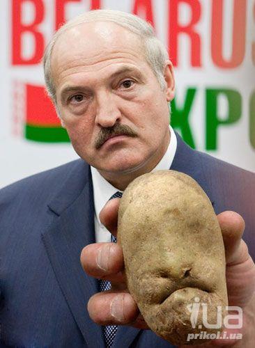 10 политических картинок