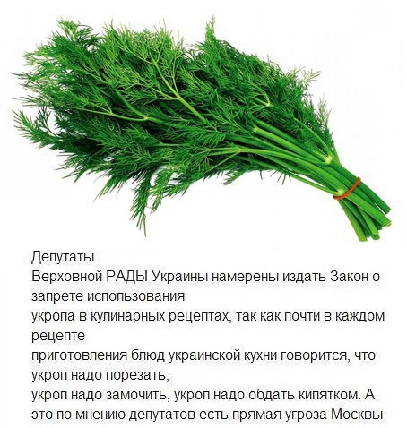 Водолаз Лева