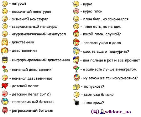 Приколы на МОНИТОРЕ