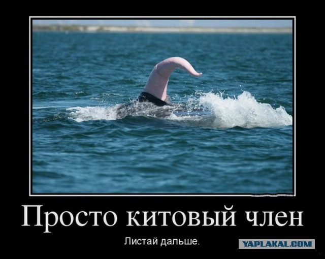 Опять ловят Российскую подводную лодку