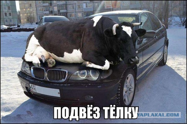 Разные картинки из сети