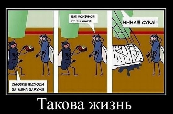 Подборка картинок