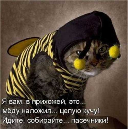 Подборка фото-креатива
