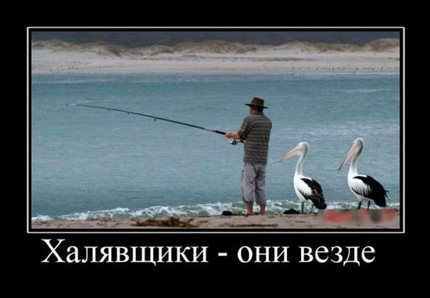 Подборка приколов