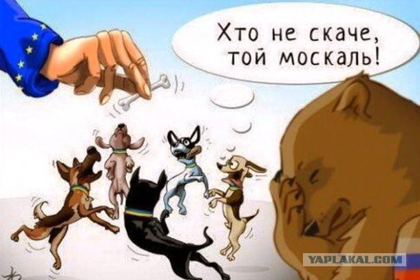 Порошенко рассказал об экономическом шоке от российского эмбарго