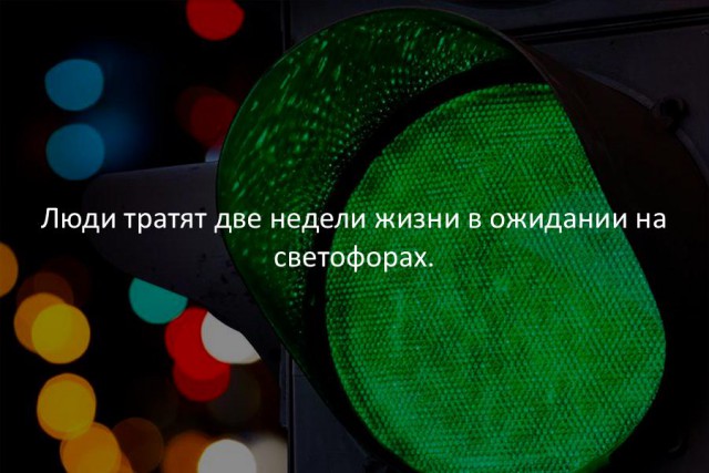 39 интересных фактов в картинках