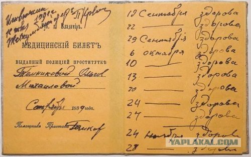 Что означает цвет твоего паспорта