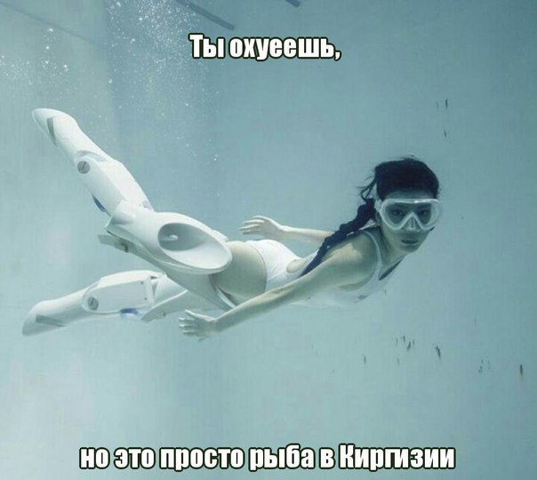 Наблюдения и записки сумасшедшего