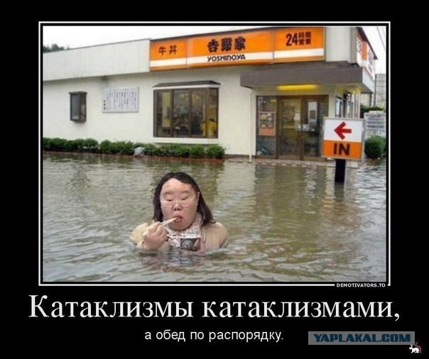 Всякое из тырнэта